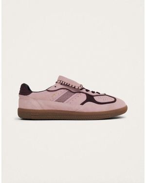 Alohas Club Suede Leather Sneakers - Pink