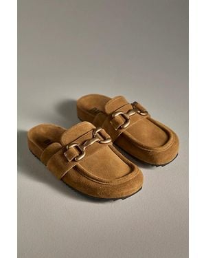 Bibi Lou Exclusive Zagreb Clogs - Brown