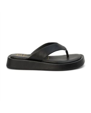 Matisse Mallorca Flip Flops - Black