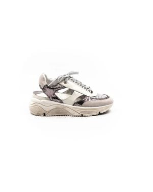 Vaddia Bose Sneaker - White