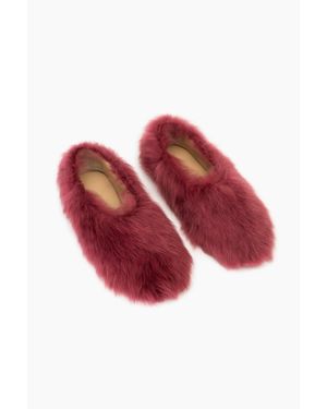 Sleeper Kiwi Kiwi Shearling Ballet Flats - Red