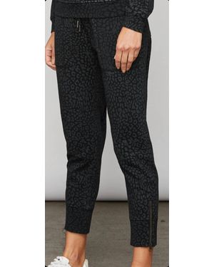 Sundays Palmer - Black