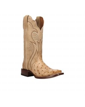 Dan Post Reese Full Quill Ostrich Boot - Brown