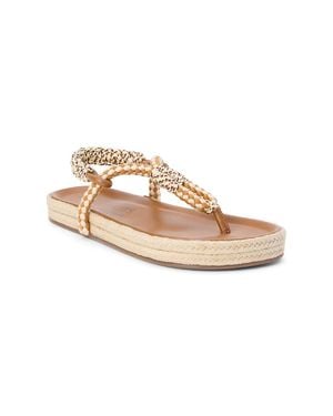 Matisse Celia Flip-Flop Sandals - Pink