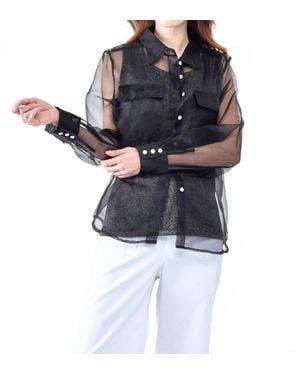 Insight Sheer Organza Solid Blouse - Blue