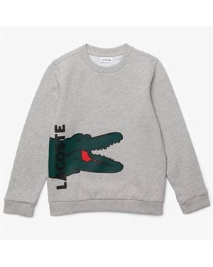 Lacoste Boy's Sweatshirt - Gray