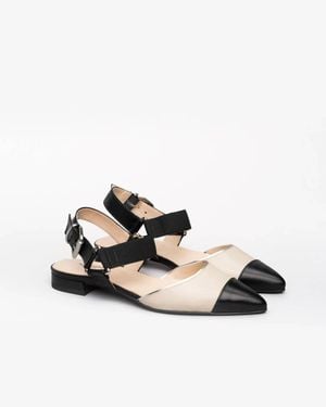 Nero Giardini Buckle Strap Flat - White
