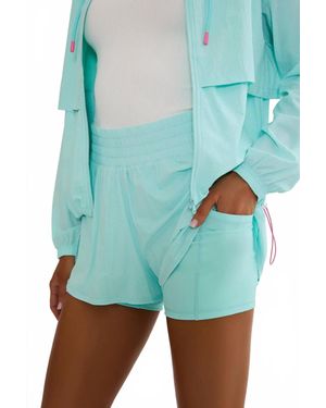 Beach Riot Roe Shorts - Blue