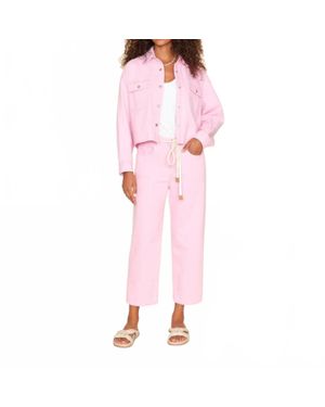 Xirena Brecker Pant - Pink