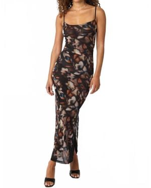 Olivaceous Lina Mesh Dress - Multicolor