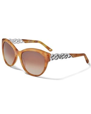 Brighton Interlok Braid Sunglasses - Brown
