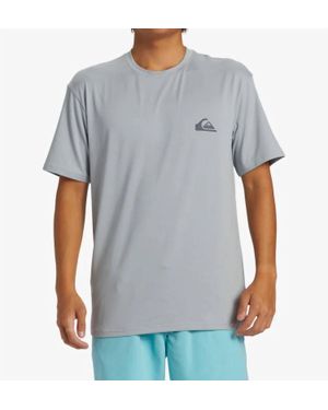 Quiksilver Everyday Surf Short Sleeve Tee - Gray