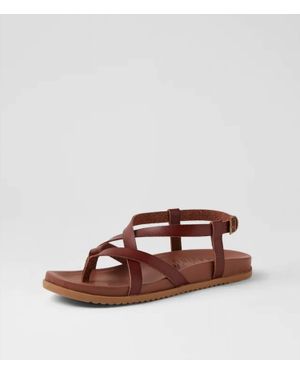 Blowfish Camden Sandals - Brown