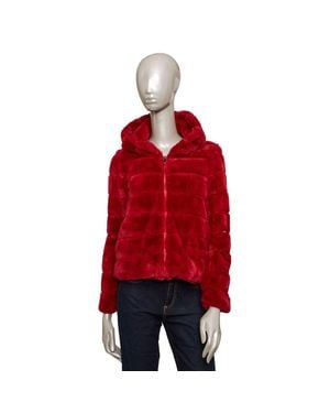 Baldinini Polyester Jacket - Red