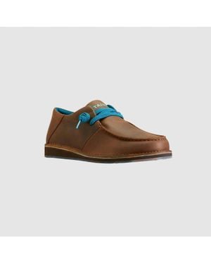 Ariat Cruiser Stretch Lace Shoe - Brown