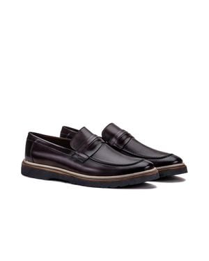 Vicini Ferraro Loafer - Black