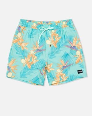 Hurley Cannonball Volley 17" Swimwear Shorts Tropical Mist Buu958 - Blue