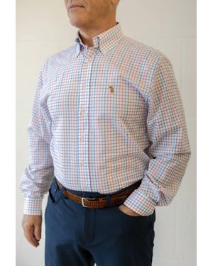 Southern Casanova Beach Ball Check Button Down - Gray