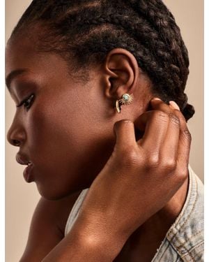 Lucky Brand Earring Set Duo - Brown