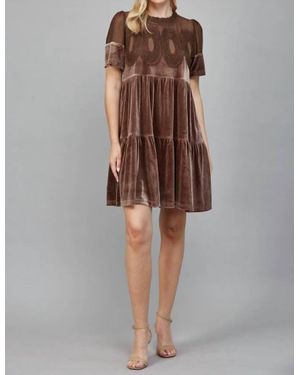Fate Contrast Sheer Mesh Intricate Lace Detail Mini Dress - Brown
