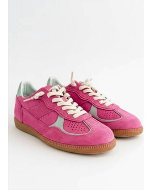 Ccocci Molly Comfy Sole Sneakers - Pink