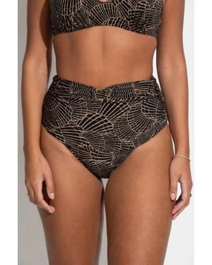 Pour Moi Samoa High Waist Tummy Control Brief Bikini Bottom - Brown