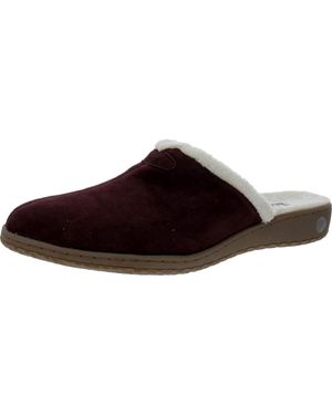 David Tate Jam Burgundy Jam-602 - Brown