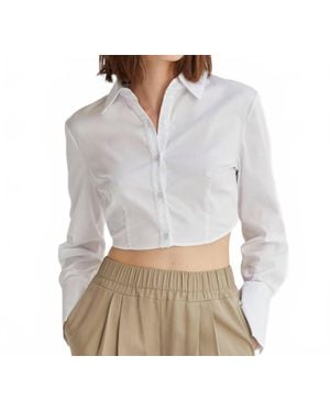 Crescent Rowen Cropped Button Down Top - Gray
