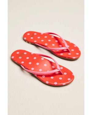 Beek Sunbeam Flip-Flop Sandals - Red