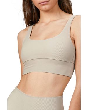 Beach Riot Leah Top - Brown