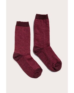Bridge & Burn Helix Sock - Red