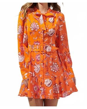 Sugarlips Cosmo Floral Flare Mini Dress - Orange