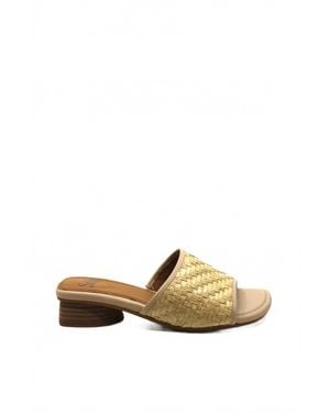 Söfft Sahara Sandal - Multicolor