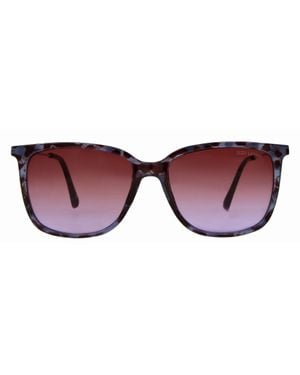 Suzy Levian Tortoise Square Lens Accent Sunglasses - Black