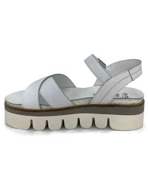 Ara Forest Hills Sandal - Metallic