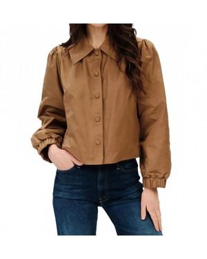 Six Fifty Dramatic Collar Blouson Jacket - Brown