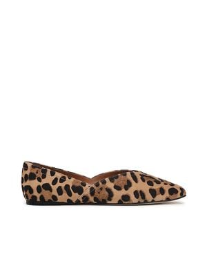 Sarto Flexa Adalina Ballet Flats - Brown