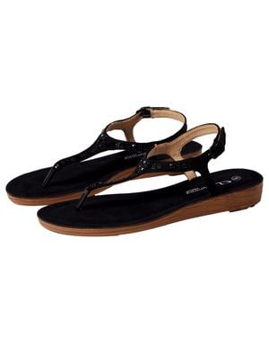 Cl By Laundry Attraction Super Suede Attraction-Ss-001 - Black