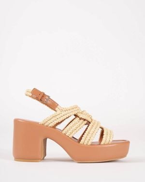 Robert Clergerie Dinel Heel - Pink