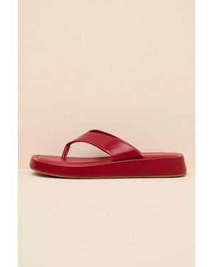 Matisse Mallorca Sandal - Red
