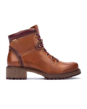 Pikolinos Aspe Lace-Up Ankle Boots - Brown