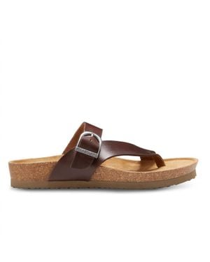 Eastland Shauna Thong Sandal - Brown