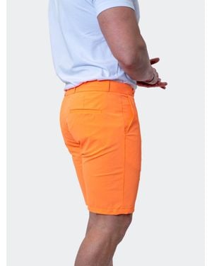 Maceoo Shorts Sunbright - Orange