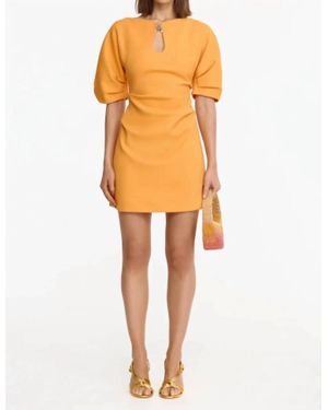 Acler Dingsey Mini Dress - Orange
