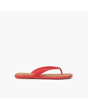 Reef Water Willow Malibu - Red