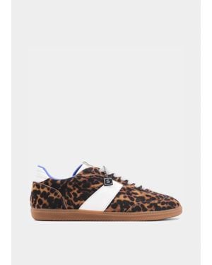 Matisse Sydney Sneaker - Brown