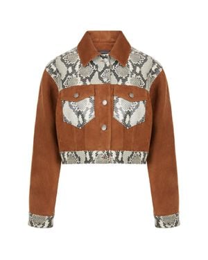 Giuseppe Zanotti Laurie - Brown