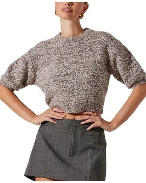 Astr Colette Sweater Wool Blend Puff Sleeve Cropped Pal6 - Gray