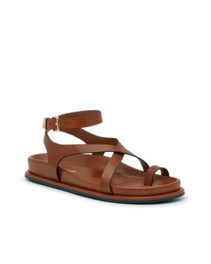 Steve Madden Zendra Sandals Cognac Toe Loop Ankle Strap Gal341 - Brown