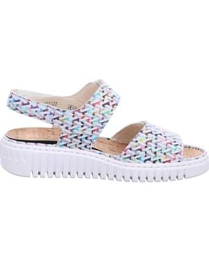 Waldläufer Willow Wedge Sandal - Black